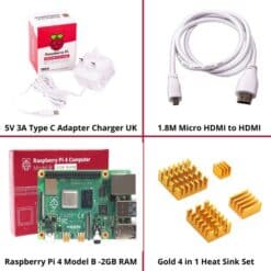 Raspberry Pi 4 Model B with 2 GB RAM Starter Kit