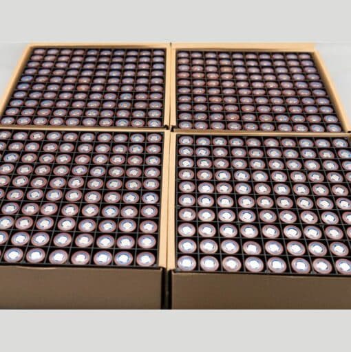 18650 2000mAh 3.7V Rechargeable Lithium Battery - Round End (Pack of 2) - Image 4